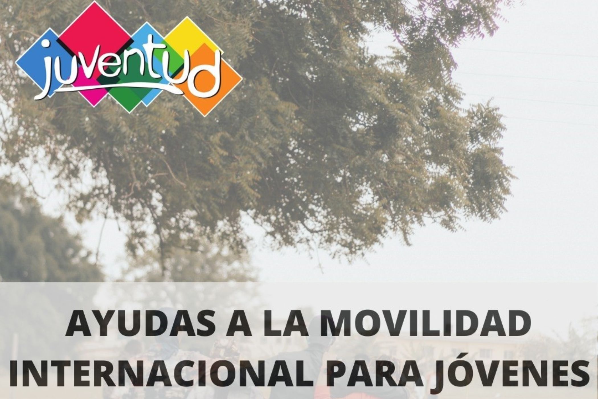 Ayudas a la movilidad