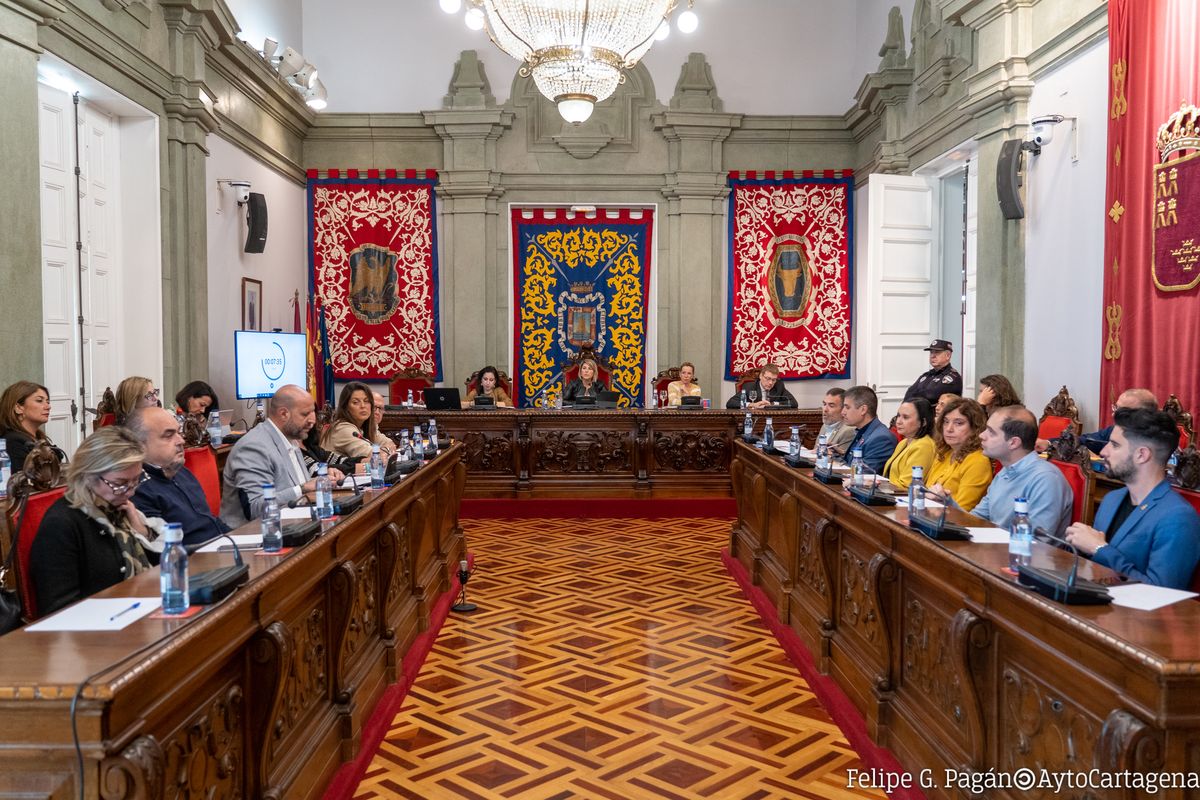 Pleno extraordinario sobre infraestructuras ferroviarias