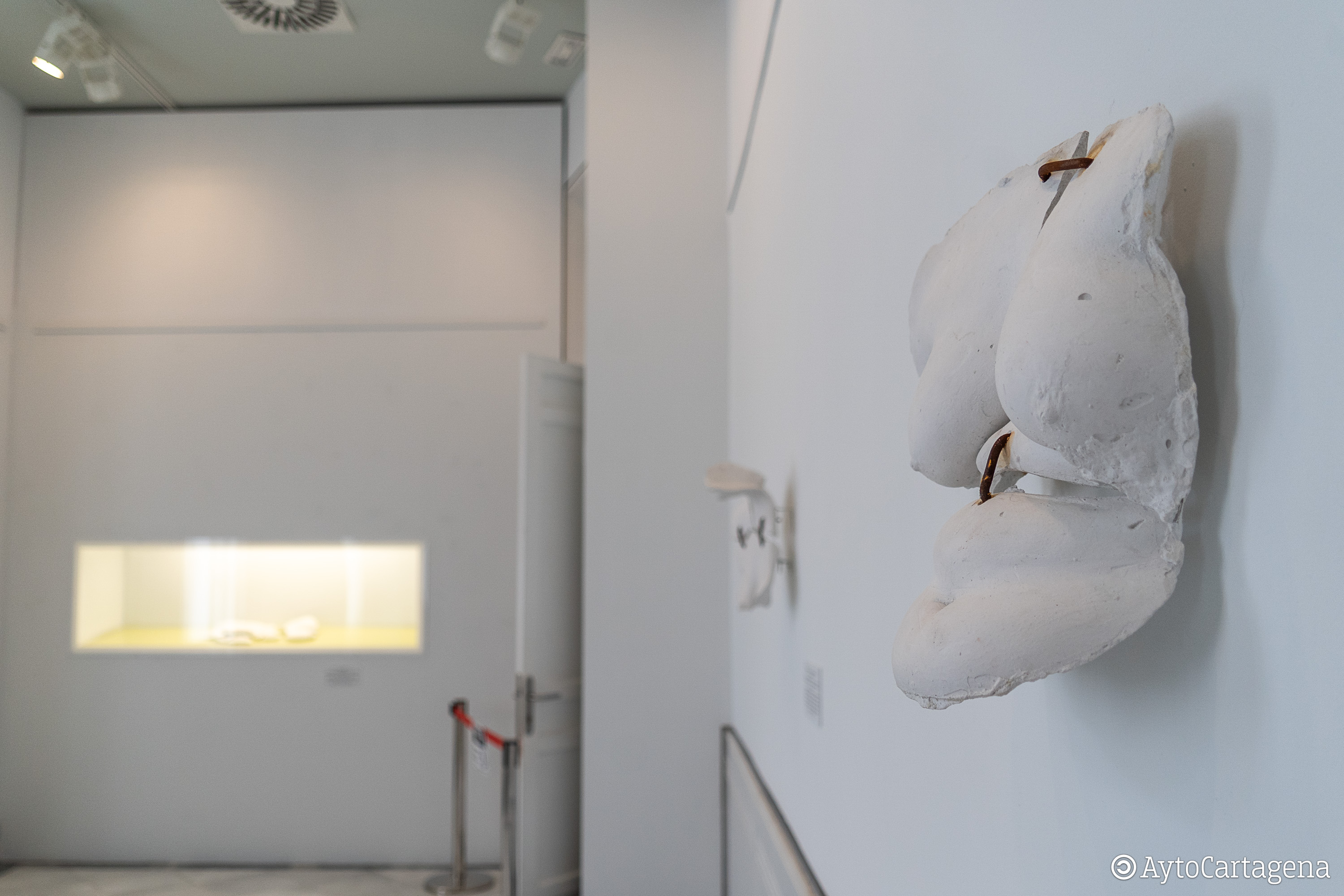 Muestra de Fragmentos de Vernica Ripoll