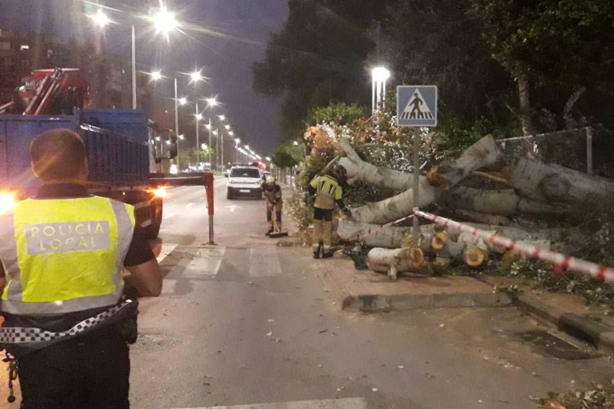 Retirada de árboles caídos por el viento