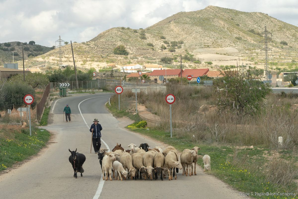 Imagen de la noticia