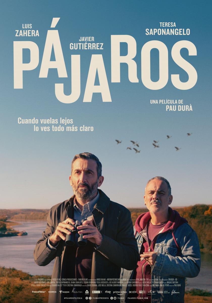 Cartel de la pelcula 'Pjaros'.