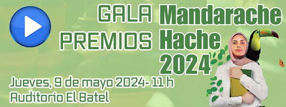 Gala Premios Mandarache / Hache 2024