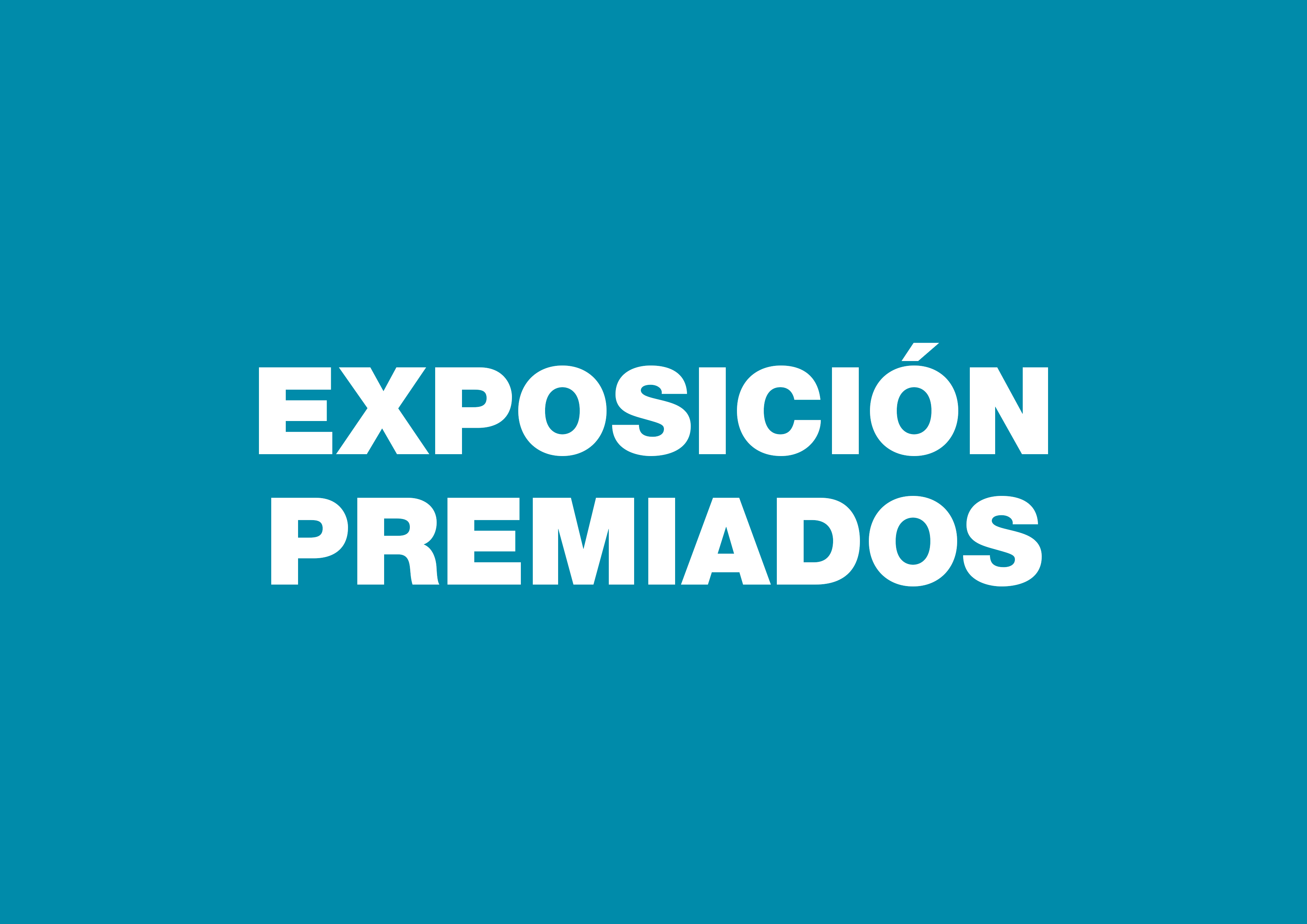 Exposicin premiados. 2 edicin