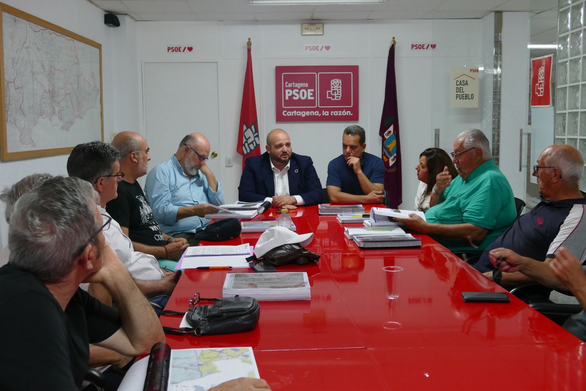 El PSOE de Cartagena crea un grupo de trabajo para analizar el PGOU ...