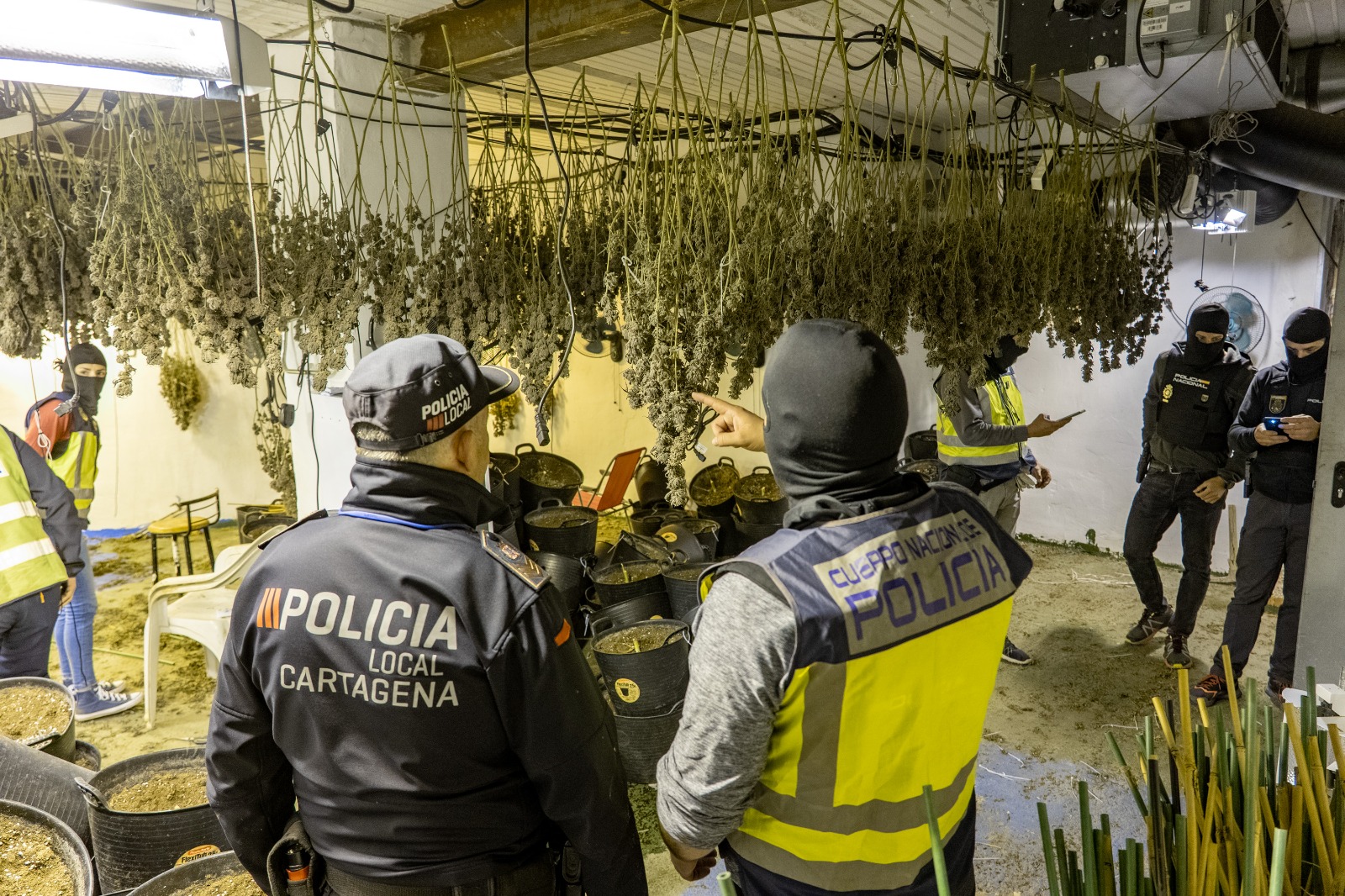 Imagen de la noticia