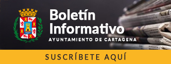 Suscrbete al BOLETN aqu