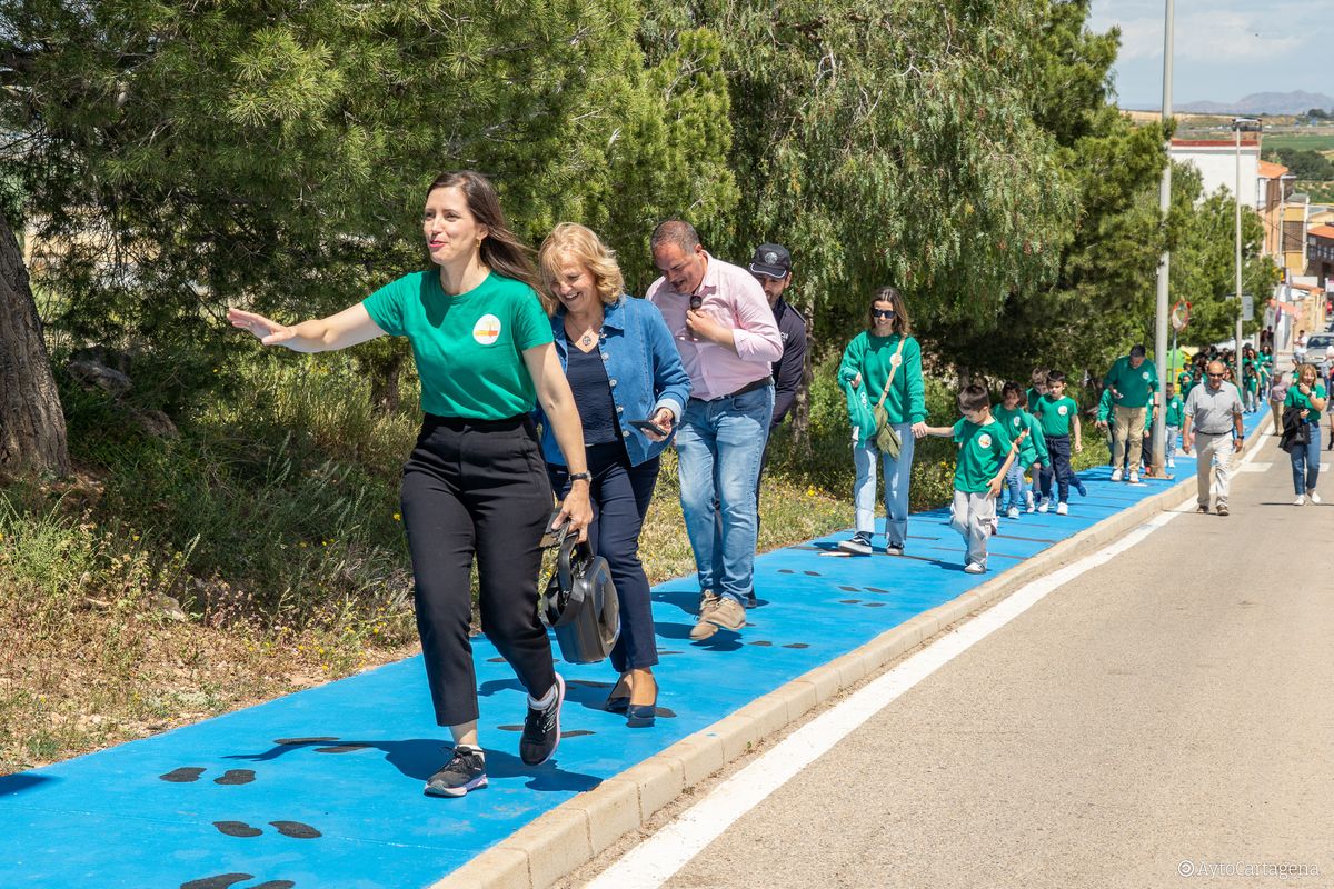 Proyecto Ecoacera Carthago, del CEIP Carthago de Vista Alegre