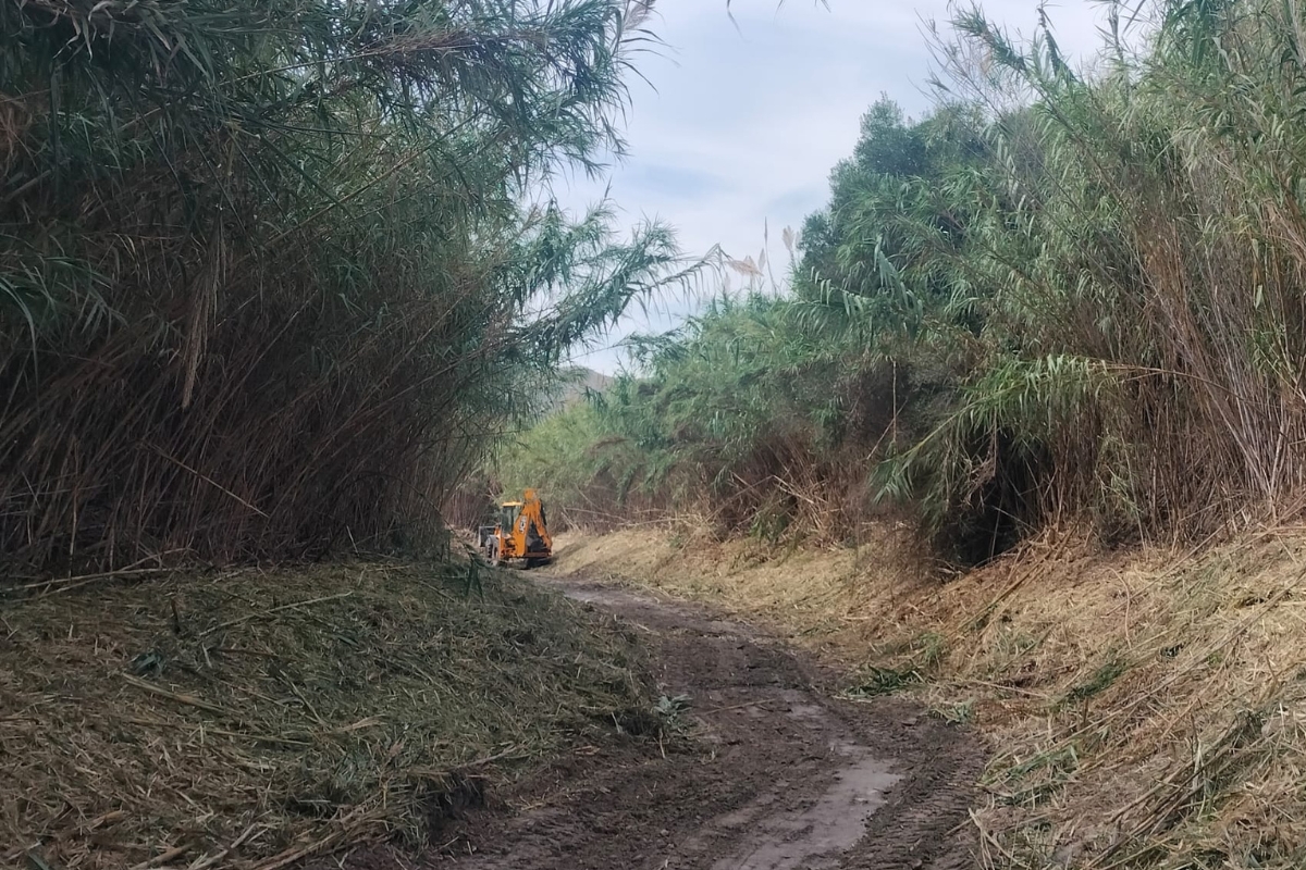 Imagen de la noticia