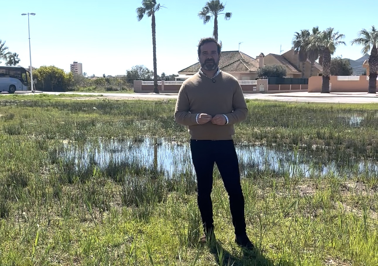 Imagen de la noticia