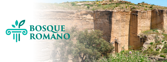 Bosque Romano