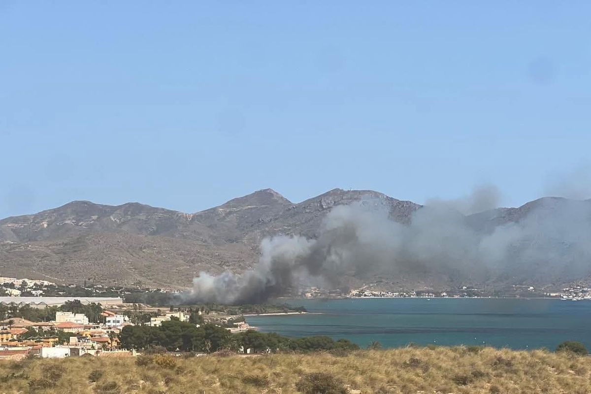 Controlado el incendio declarado en el Palmeral de San Ginés pero pendientes de las circunstancias del viento