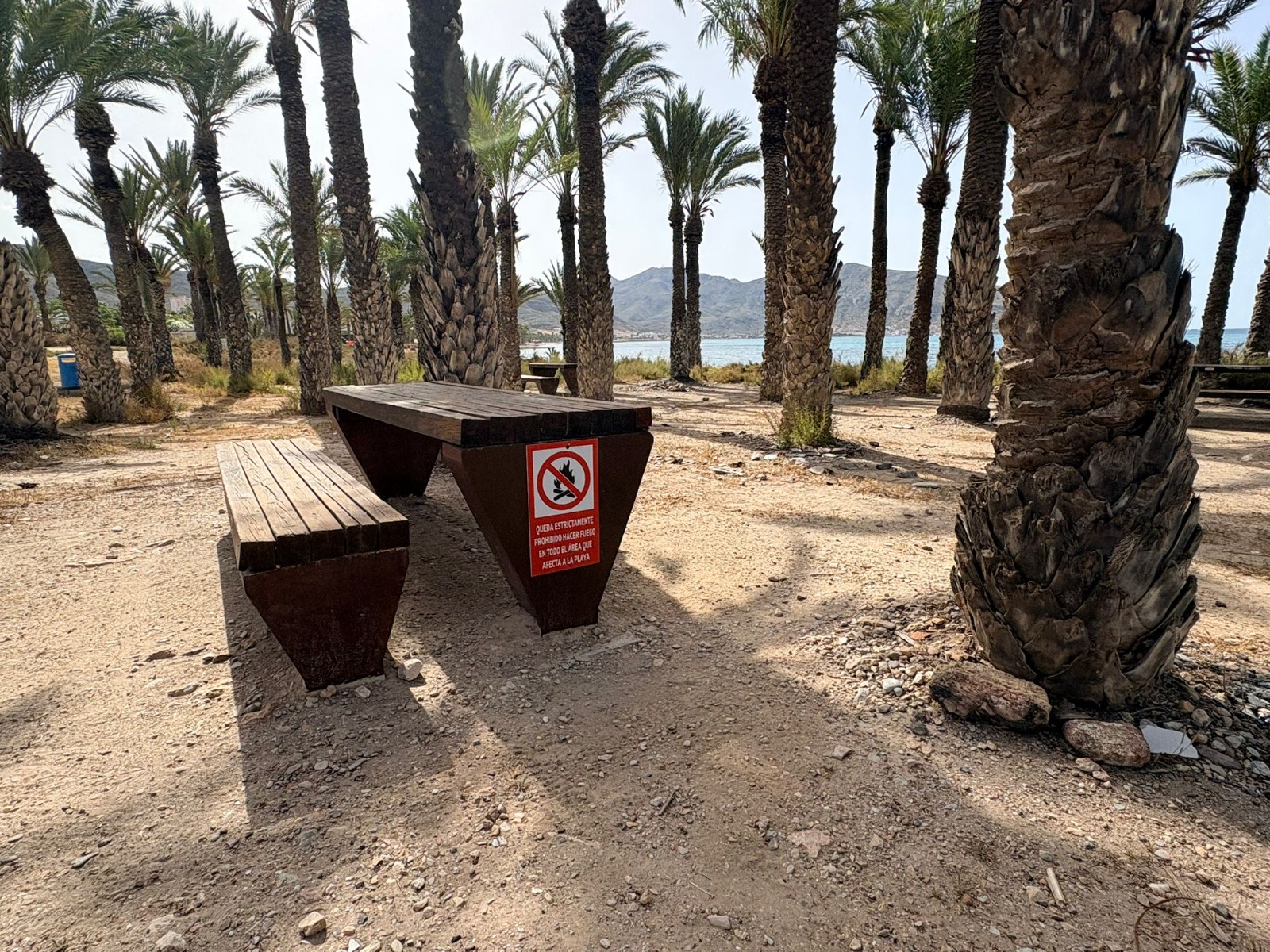 Palmeral de San Ginés en La Azohía