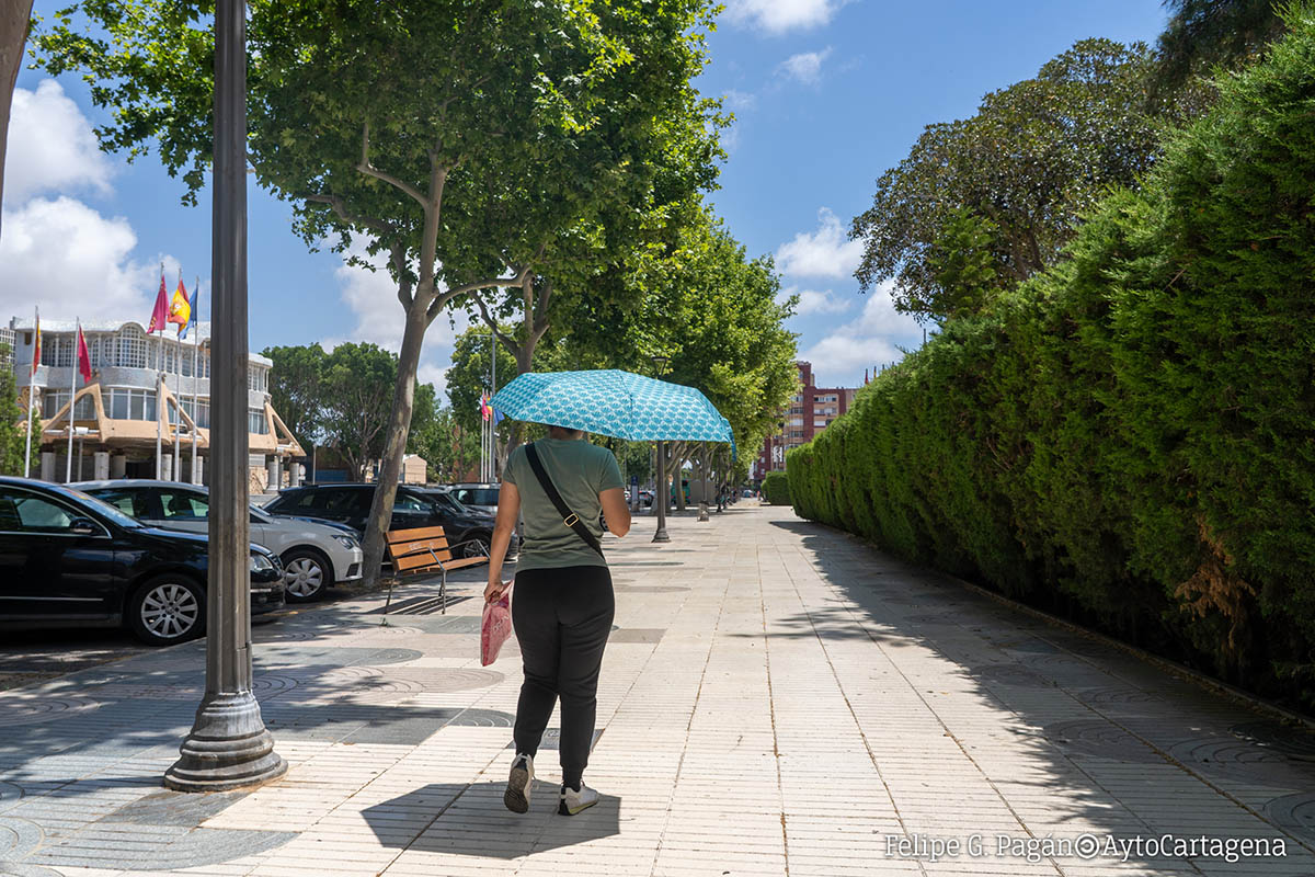 Efectos Del Calor