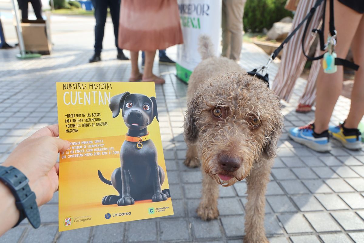 Campaña de concienciación sobre tenencia responsable de mascotas en Cabo de Palos