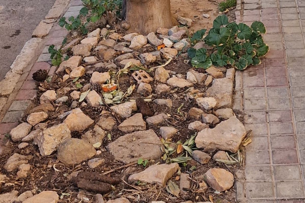 Sí Cartagena denuncia que cinco meses después de aprobarse por unanimidad el Plan Integral de José María de Lapuerta 'no se ha hecho absolutamente nada'