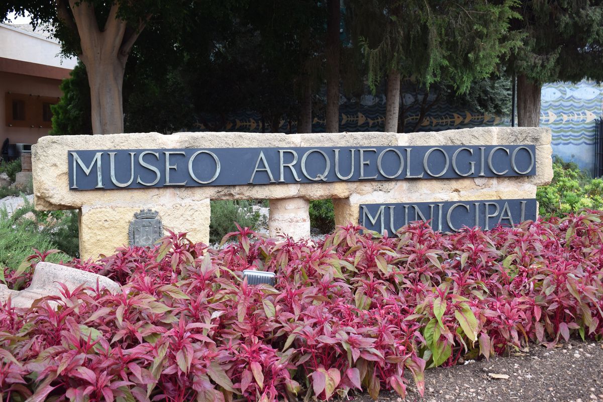 Mejora y renovación de las zonas ajardinadas del Museo Arqueológico Municipal