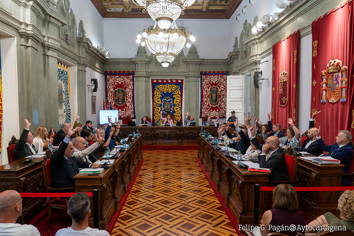 Pleno Municipal