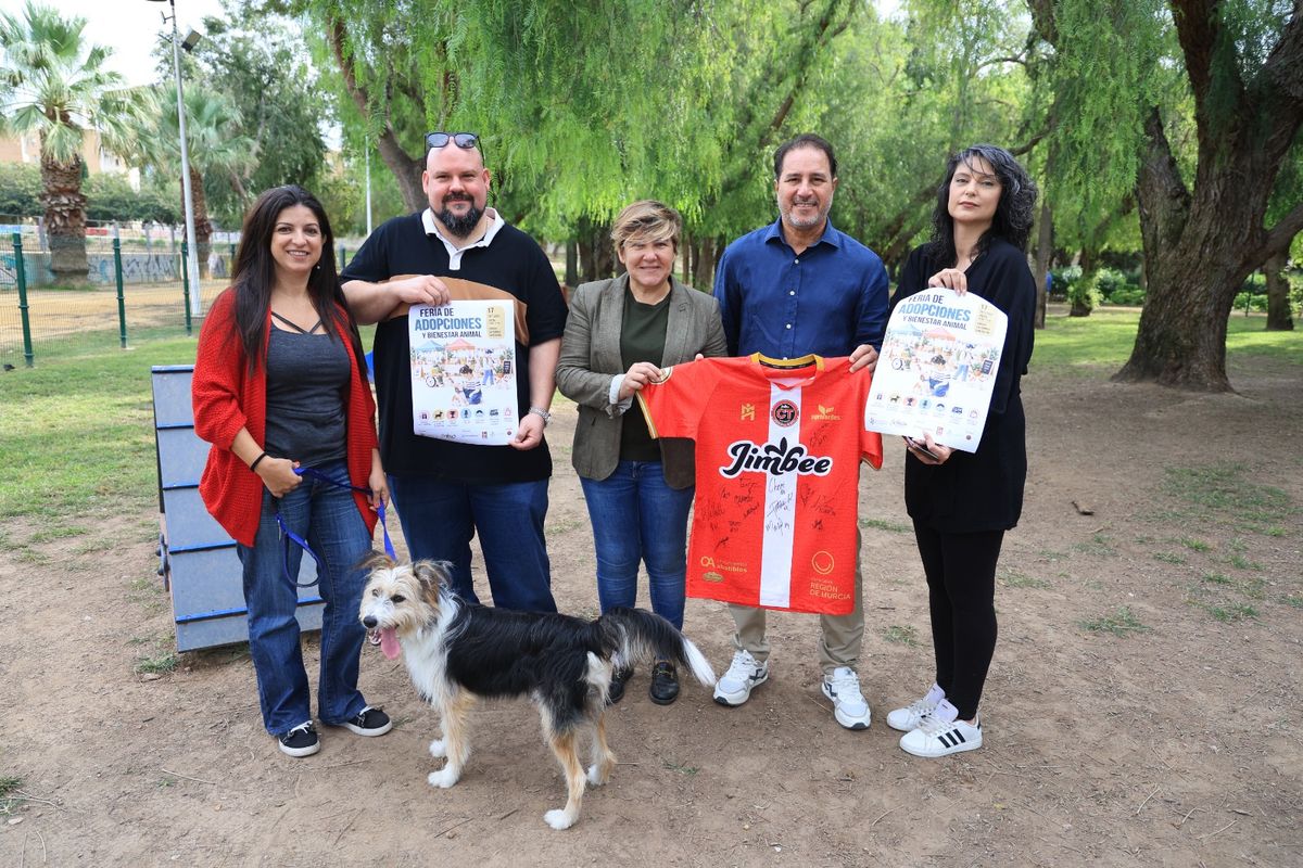 Imagen de la noticia