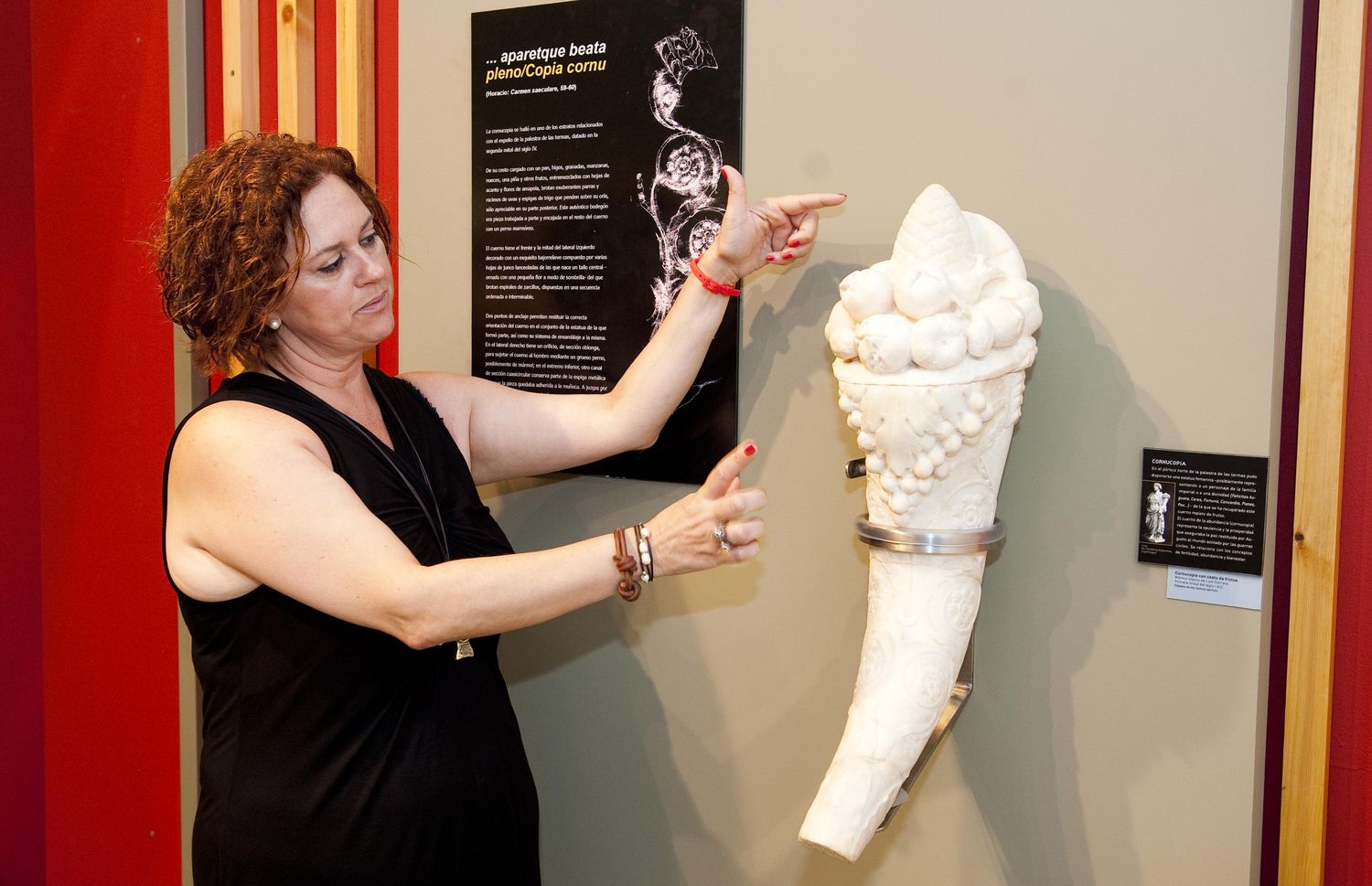 Exposición Arx Hasdrubalis en el Museo Arqueológico Municipal