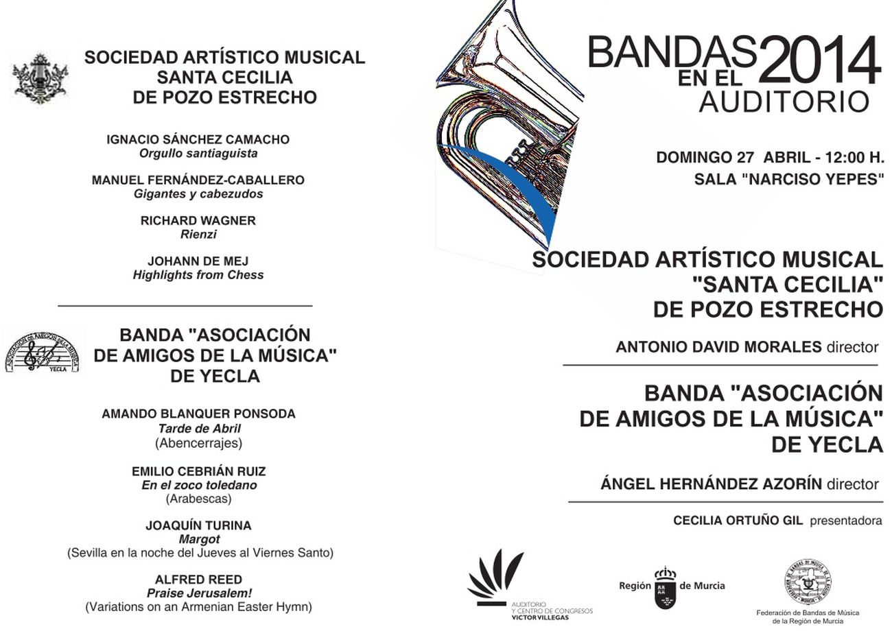 Cartel de Bandas en el Auditorio 2014