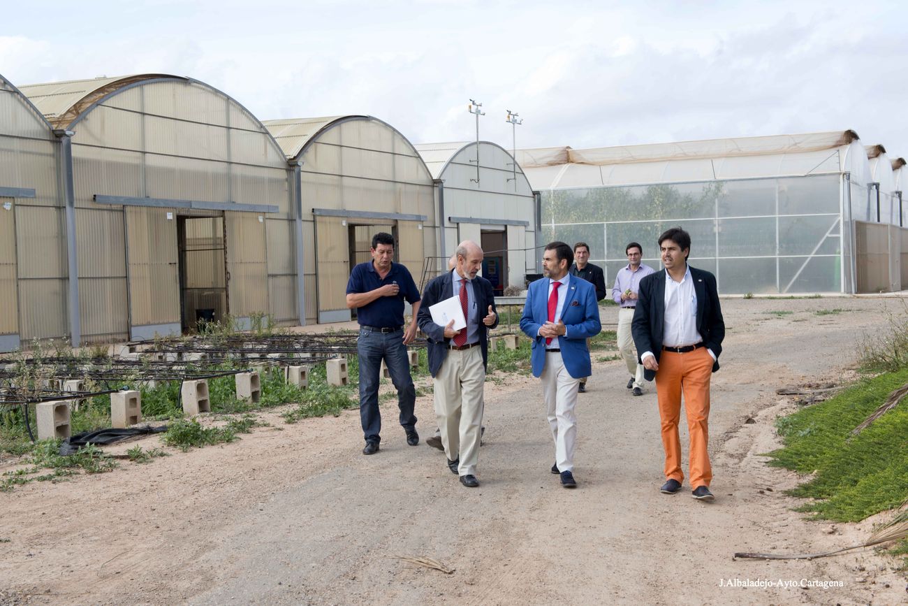 Visita del alcalde a las instalaciones de la UPCT en la Finca Tomás Ferro