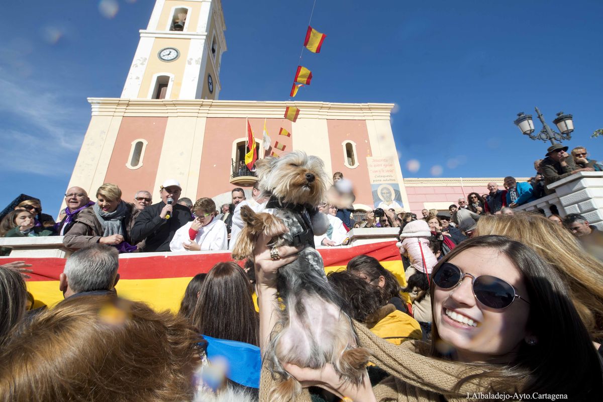 Misa, bendicin de animales y baile del Verm en San Antn