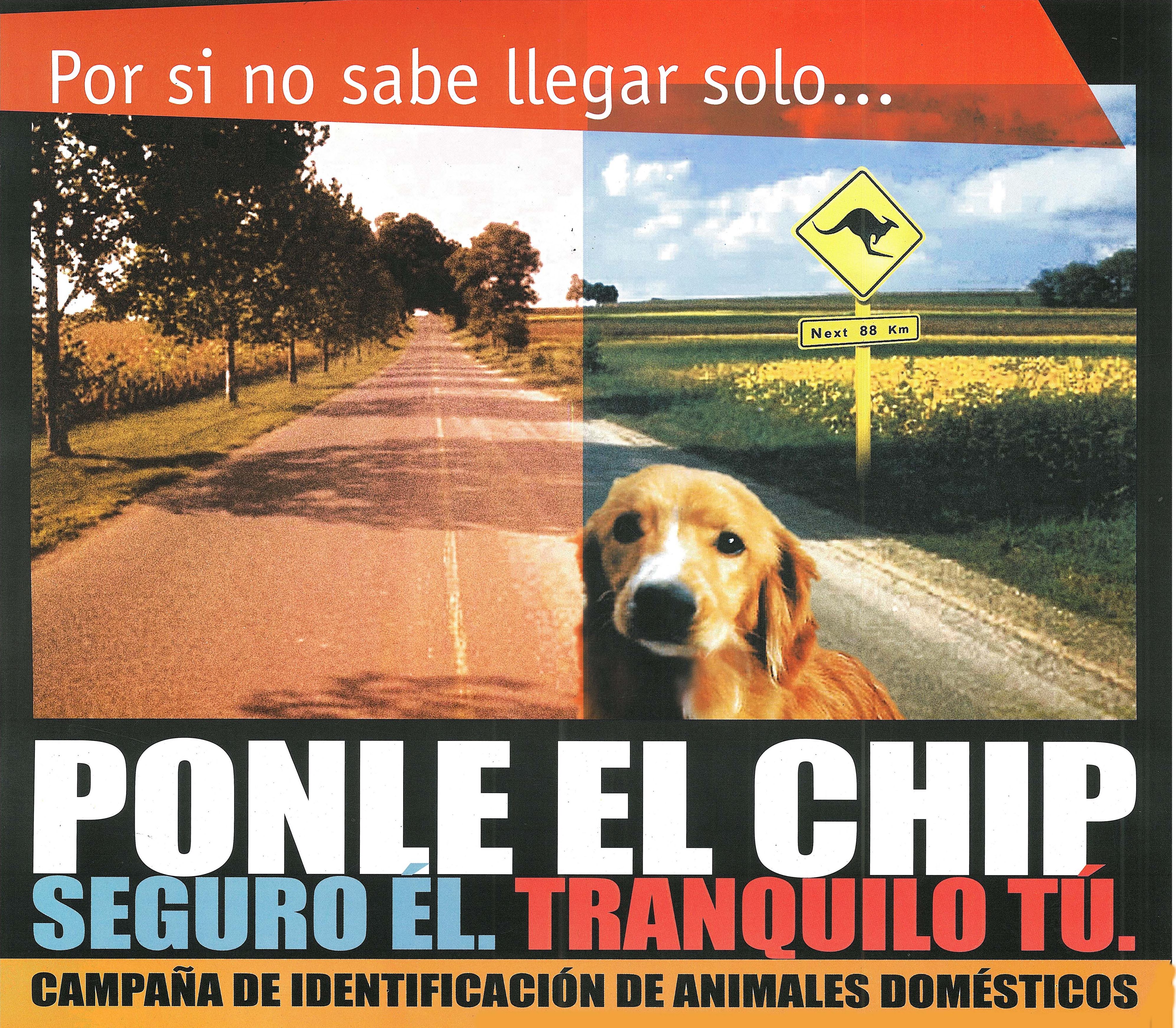 Cartel campaa Catad