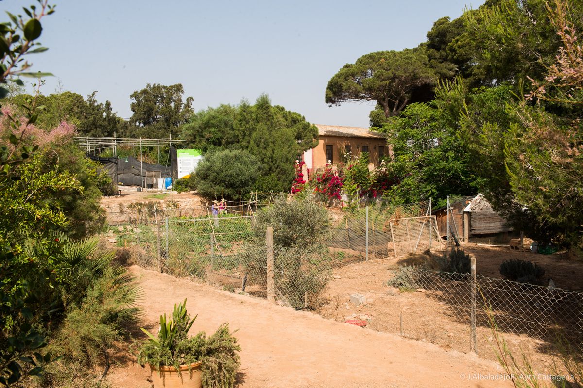 Imagen de archivo de Huerto Pío