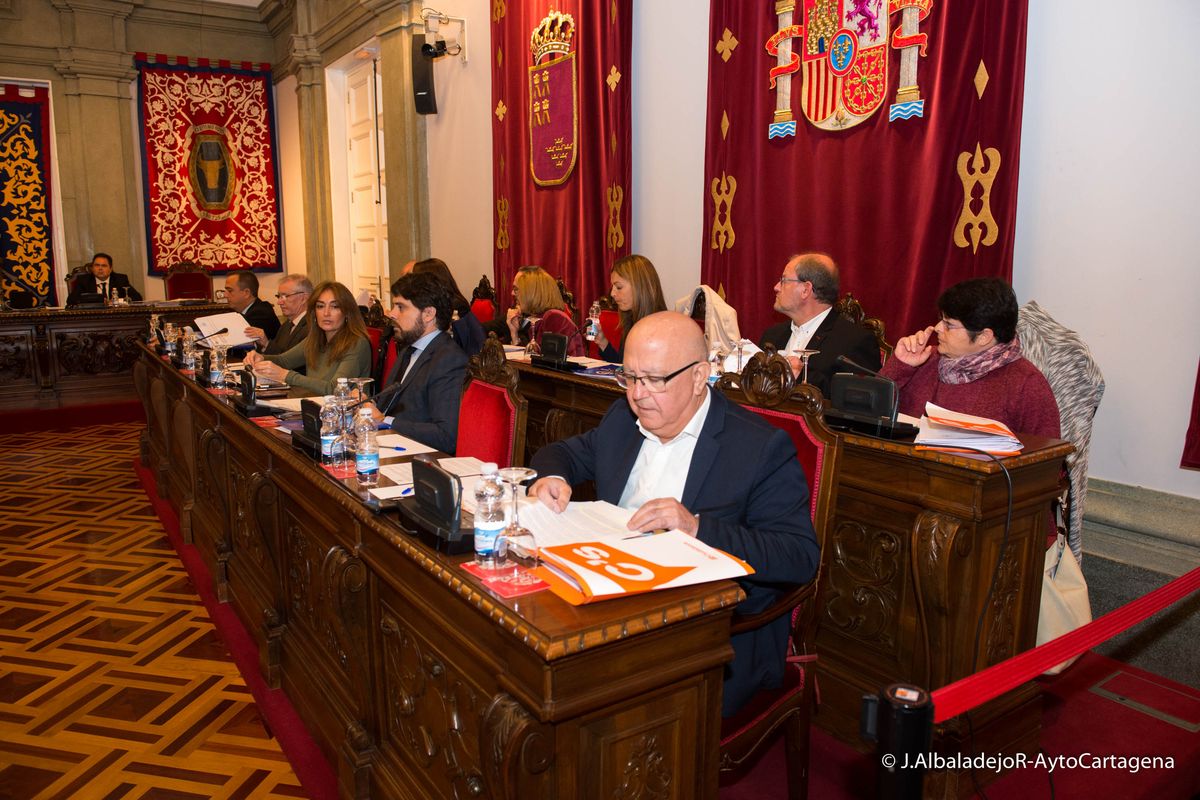 El pleno solicita informes jurídicos para evaluar la anulación de la