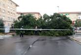 Cae un �rbol de grandes dimensiones en la barriada Jos� Mar�a de la Puerta