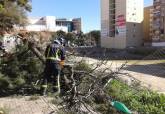 Intervenciones de los  Bomberos por el fuerte viento