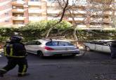 Intervenciones de los  Bomberos por el fuerte viento