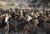 IV Marcha Ganadera de La Azoh�a