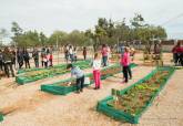 El colegio San Cristbal de El Boho inaugura su huerto urbano