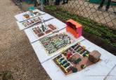 El colegio San Cristbal de El Boho inaugura su huerto urbano