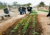 El colegio San Cristbal de El Boho inaugura su huerto urbano