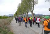 Peregrinacin a Caravaca del programa de senderismo de mayores