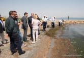 Comienzan las labores de limpieza del Mar Menor en la zona de Los Urrutias