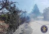 Incendio de seto en El Algar