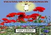 Cartel Fiestas de Las Lomas del Albuj�n 2017