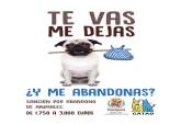 Campaa del CATAD para evitar el abandono de animales