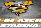 fase de ascenso hockey lnea cartagena