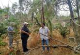 Visita al Huerto de Cndido en La Palma