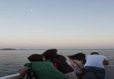 Paseo nocturno en barco por el puerto