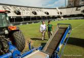 Trabajos de sustitucin del csped del estadio Cartagonova