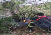 Intervenciones de los bomberos por el viento y la cada de rayos