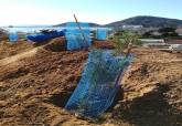 Jornada de reforestacin en el Cerro de los Moros