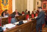 Pleno ordinario 12-02-2018