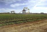 Curso sobre agricultura sostenible
